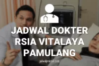 JADWAL-DOKTER-RSIA-VITALAYA-PAMULANG