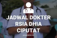 jadwal-dokter-rs-dhia-ciputat