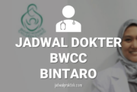 JADWAL DOKTER BWCC BINTARO