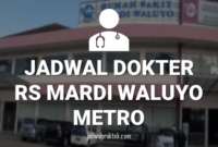 JADWL DOKTER RS MARDI WALUYO METRO