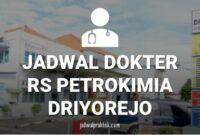 JADWAL DOKTER RS PETROKIMIA GRESIK DRIYOREJO