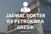 JADWAL DOKTER RS PETROKIMIA GRESIK