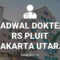 JADWAL DOKTER RS PLUIT JAKARTA UTARA