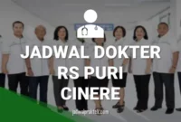 jadwal dokter rs puri cinere depok (1)