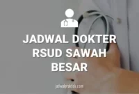 JADWAL DOKTER RSUD SAWAH BESAR