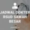 JADWAL DOKTER RSUD SAWAH BESAR