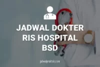JADWAL DOKTER RIS HOSPITAL BSD
