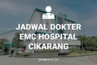 JADWAL DOKTER RS EMC CIKARANG