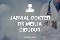 JADWAL DOKTER RS MEILIA CIBUBUR